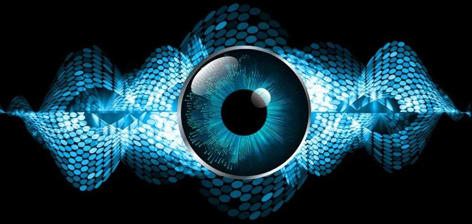 [shutterstock.com:581099365, Titima Ongkantong]