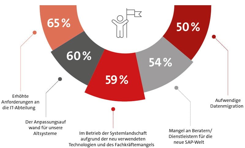 Herausforderungen während der Umsetzung von S/4 Hana.